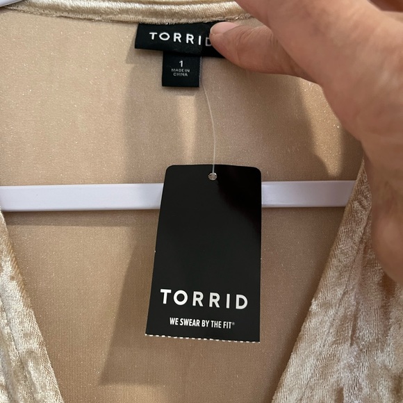 Torrid Gold Crushed Velvet Dress Sz. 1 (14/16) NWT - Picture 7 of 12